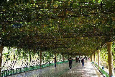 微软游戏部大裁员后 斯宾塞称Xbox业务从未如此健康